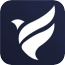 飞鸟VPN免费版